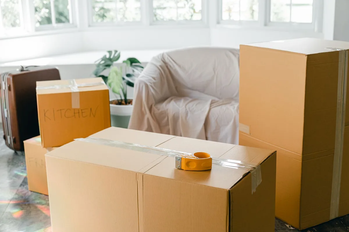 Hoarding Cleanup in Outer Sunset, San Francisco, CA